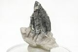 Metallic Wodginite Crystals - Brazil #214516-2